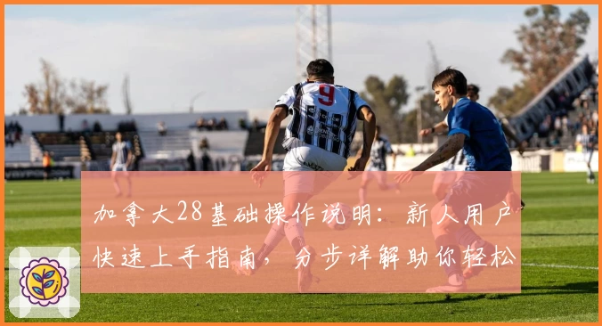 加拿大28基础操作说明：新人用户快速上手指南，分步详解助你轻松掌握游戏详情