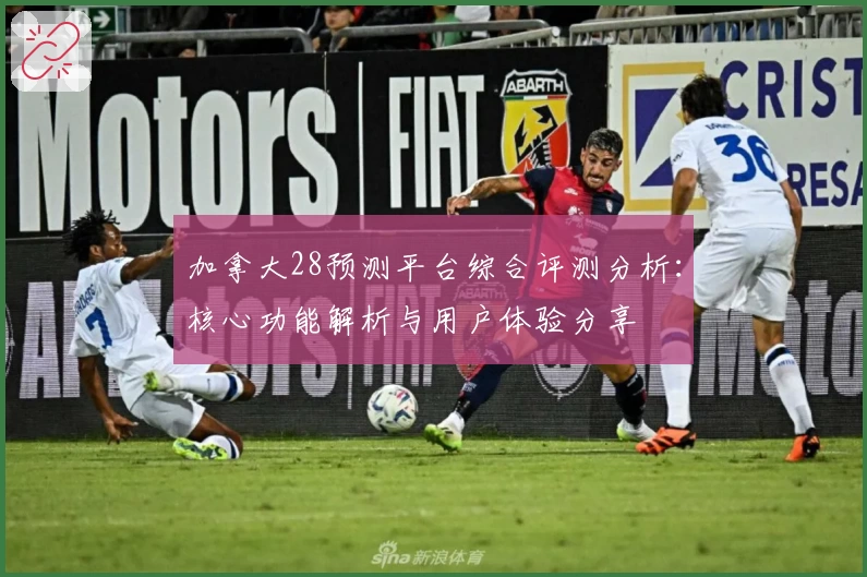 加拿大28预测平台综合评测分析：核心功能解析与用户体验分享