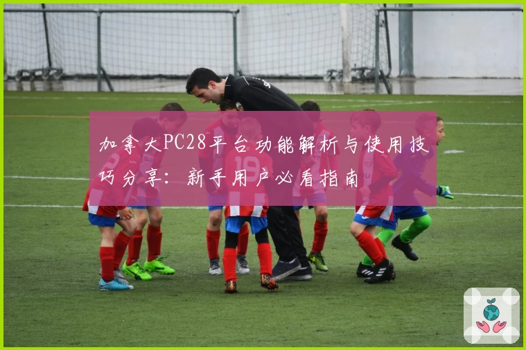 加拿大PC28平台功能解析与使用技巧分享：新手用户必看指南