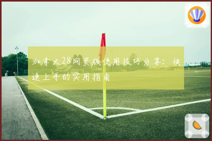 加拿大28网页版使用技巧分享：快速上手的实用指南