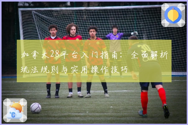 加拿大28平台入门指南：全面解析玩法规则与实用操作技巧