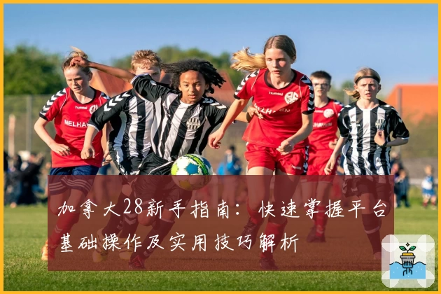 加拿大28新手指南:快速掌握平台基础操作及实用技巧解析