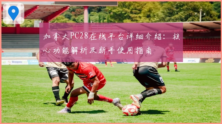加拿大PC28在线平台详细介绍：核心功能解析及新手使用指南