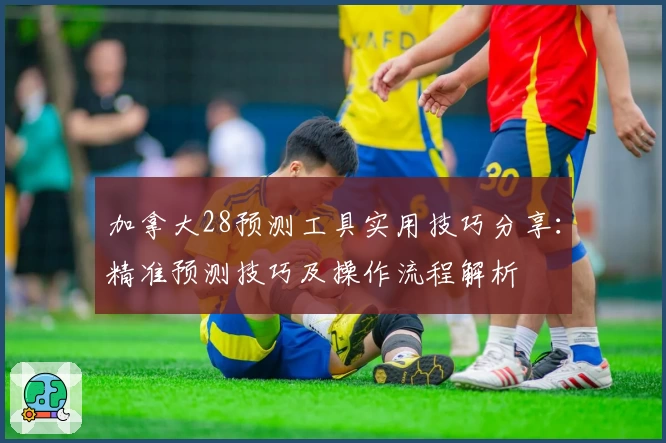 加拿大28预测工具实用技巧分享：精准预测技巧及操作流程解析
