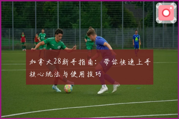 加拿大28新手指南：带你快速上手核心玩法与使用技巧