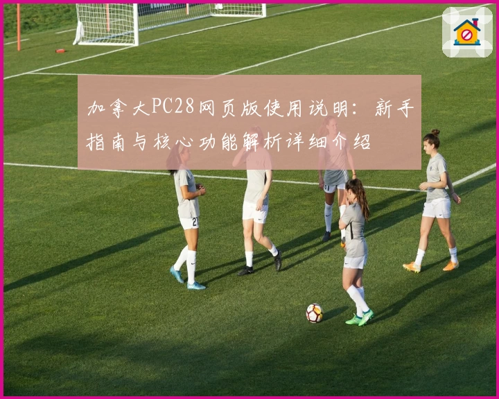 加拿大PC28网页版使用说明：新手指南与核心功能解析详细介绍