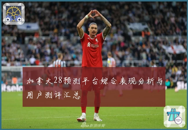 加拿大28预测平台综合表现分析与用户测评汇总