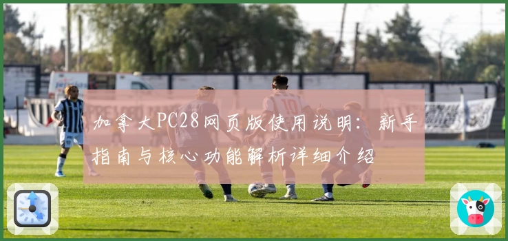 加拿大PC28网页版使用说明:新手指南与核心功能解析详细介绍