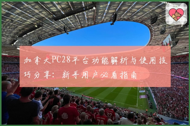 加拿大PC28平台功能解析与使用技巧分享:新手用户必看指南