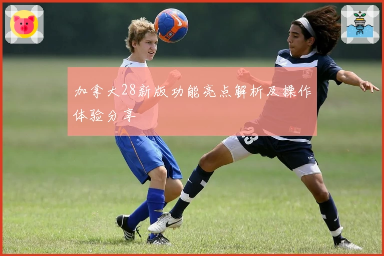 加拿大28新版功能亮点解析及操作体验分享