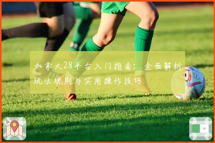 加拿大28平台入门指南：全面解析玩法规则与实用操作技巧