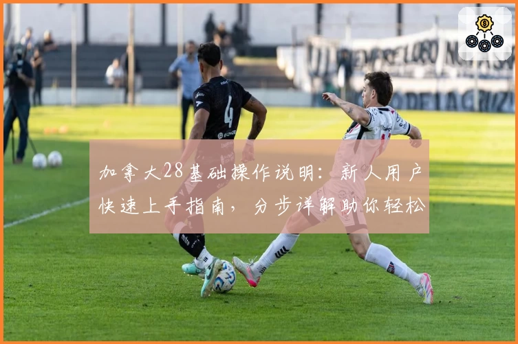 加拿大28基础操作说明：新人用户快速上手指南，分步详解助你轻松掌握游戏详情