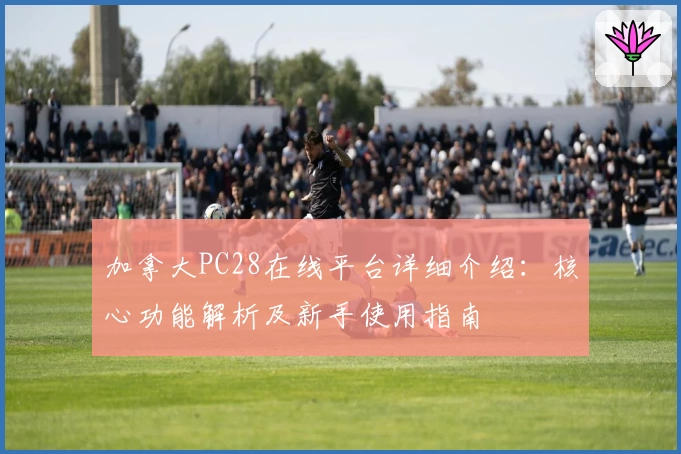 加拿大PC28在线平台详细介绍：核心功能解析及新手使用指南